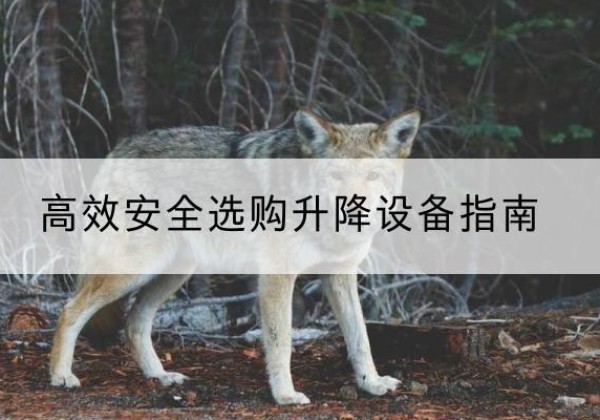 始兴升降货梯厂家推荐-*安全选购升降设备指南