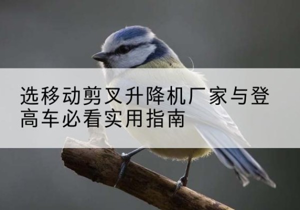 始兴电动升降机厂家-选移动剪叉升降机厂家与登高车必看实用指南