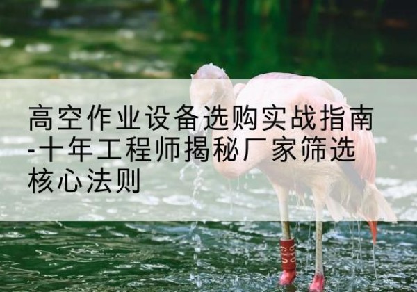 始兴剪叉式升降机厂家-高空作业设备选购实战指南-十年工程师揭秘厂家筛选核心法则